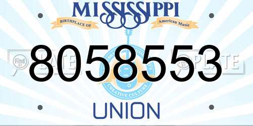 8058553 Mississippi License Plate