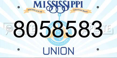 8058583 Mississippi License Plate