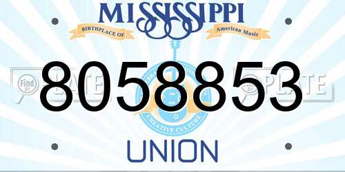 8058853 Mississippi License Plate