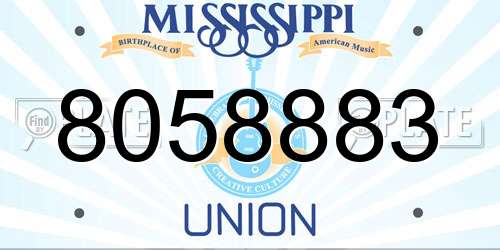8058883 Mississippi License Plate