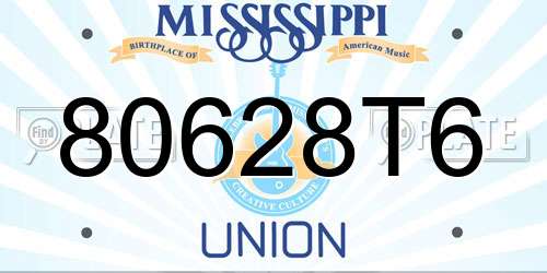 80628T6 Mississippi License Plate