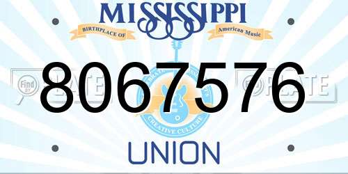 8067576 Mississippi License Plate