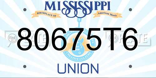 80675T6 Mississippi License Plate