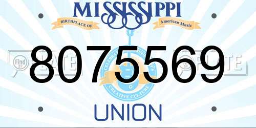 8075569 Mississippi License Plate