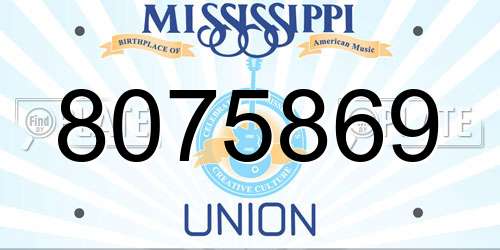 8075869 Mississippi License Plate