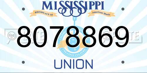 8078869 Mississippi License Plate