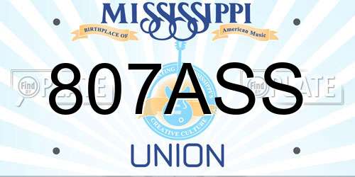 807ASS Mississippi License Plate