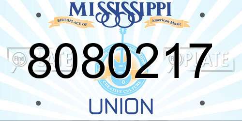 8080217 Mississippi License Plate