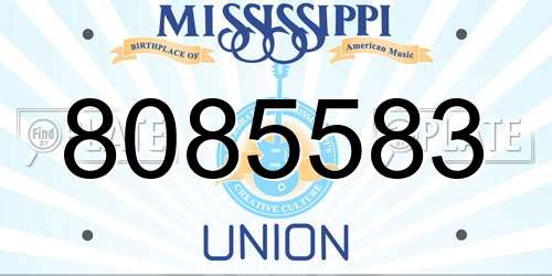 8085583 Mississippi License Plate