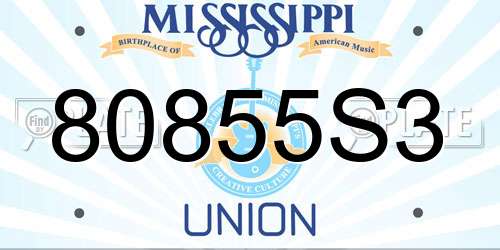 80855S3 Mississippi License Plate