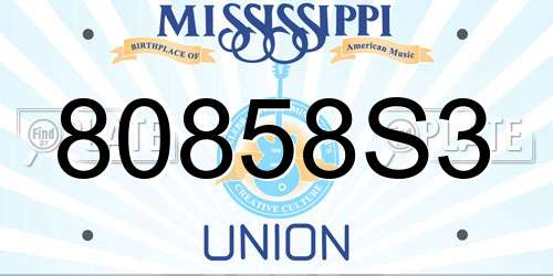 80858S3 Mississippi License Plate