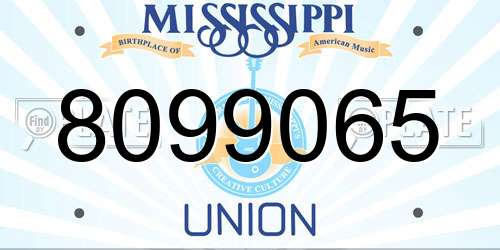8099065 Mississippi License Plate
