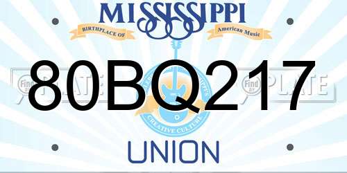 80BQ217 Mississippi License Plate