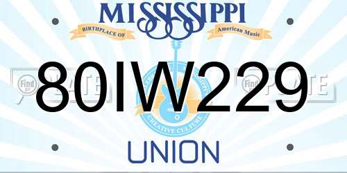 80IW229 Mississippi License Plate