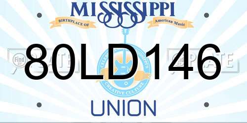 80LD146 Mississippi License Plate