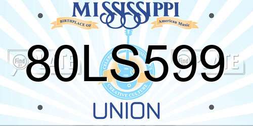 80LS599 Mississippi License Plate