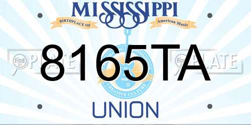 8165TA Mississippi License Plate