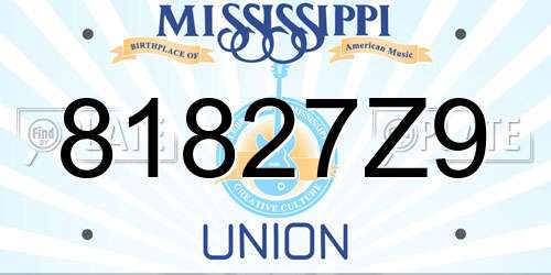 81827Z9 Mississippi License Plate