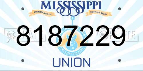 8187229 Mississippi License Plate