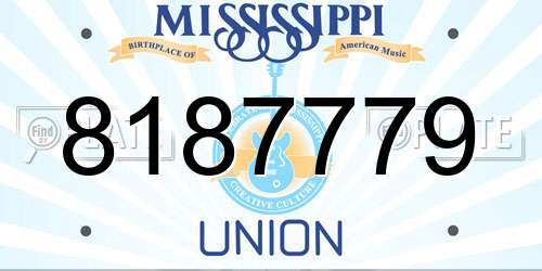 8187779 Mississippi License Plate