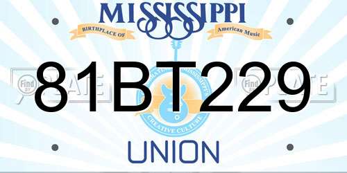 81BT229 Mississippi License Plate
