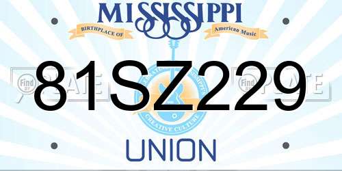 81SZ229 Mississippi License Plate