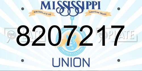 8207217 Mississippi License Plate