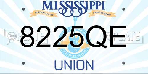 8225QE Mississippi License Plate