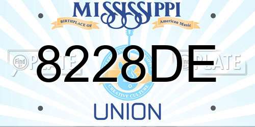 8228DE Mississippi License Plate
