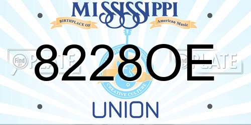 8228OE Mississippi License Plate
