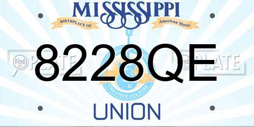 8228QE Mississippi License Plate