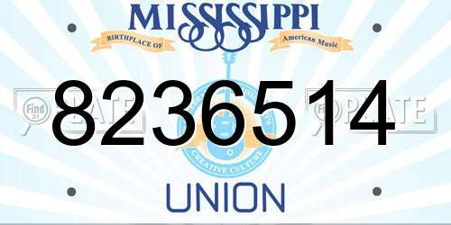 8236514 Mississippi License Plate