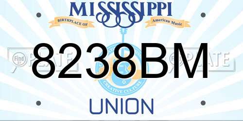 8238BM Mississippi License Plate