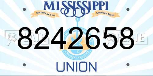 8242658 Mississippi License Plate