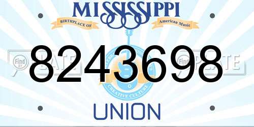 8243698 Mississippi License Plate