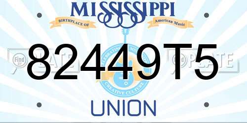 82449T5 Mississippi License Plate