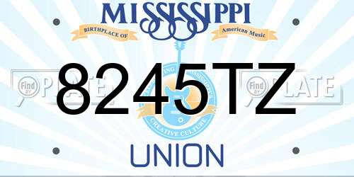 8245TZ Mississippi License Plate