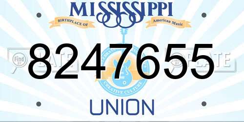 8247655 Mississippi License Plate