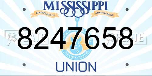 8247658 Mississippi License Plate