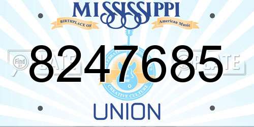 8247685 Mississippi License Plate