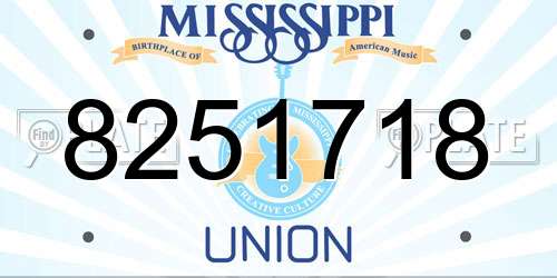 8251718 Mississippi License Plate