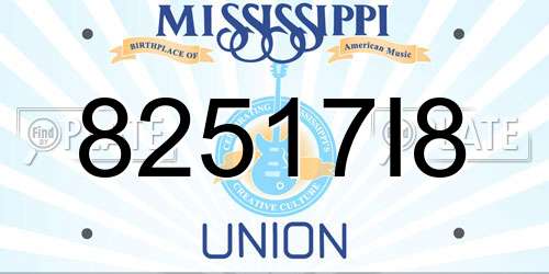 82517I8 Mississippi License Plate