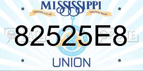 82525E8 Mississippi License Plate