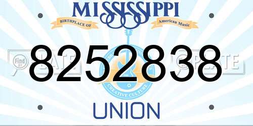 8252838 Mississippi License Plate