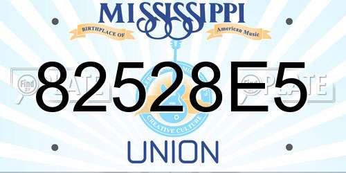 82528E5 Mississippi License Plate