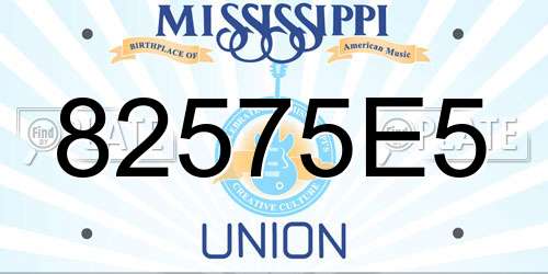 82575E5 Mississippi License Plate