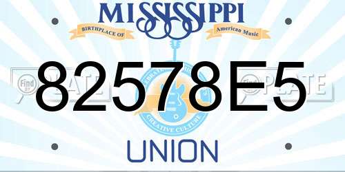 82578E5 Mississippi License Plate