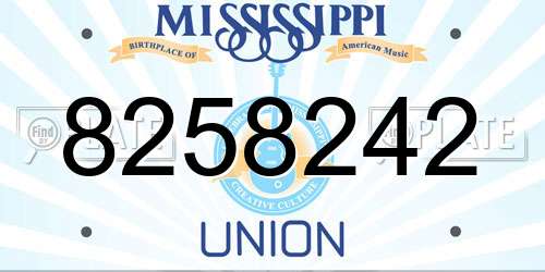 8258242 Mississippi License Plate