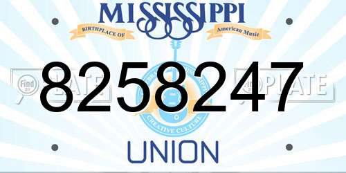 8258247 Mississippi License Plate