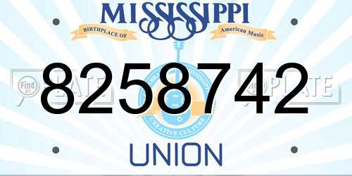 8258742 Mississippi License Plate